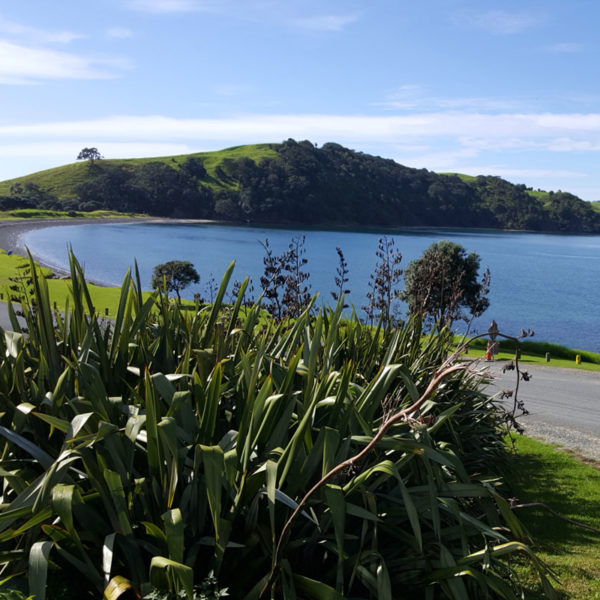 goat-island-new-zealand