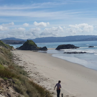 Wine Tours Auckland